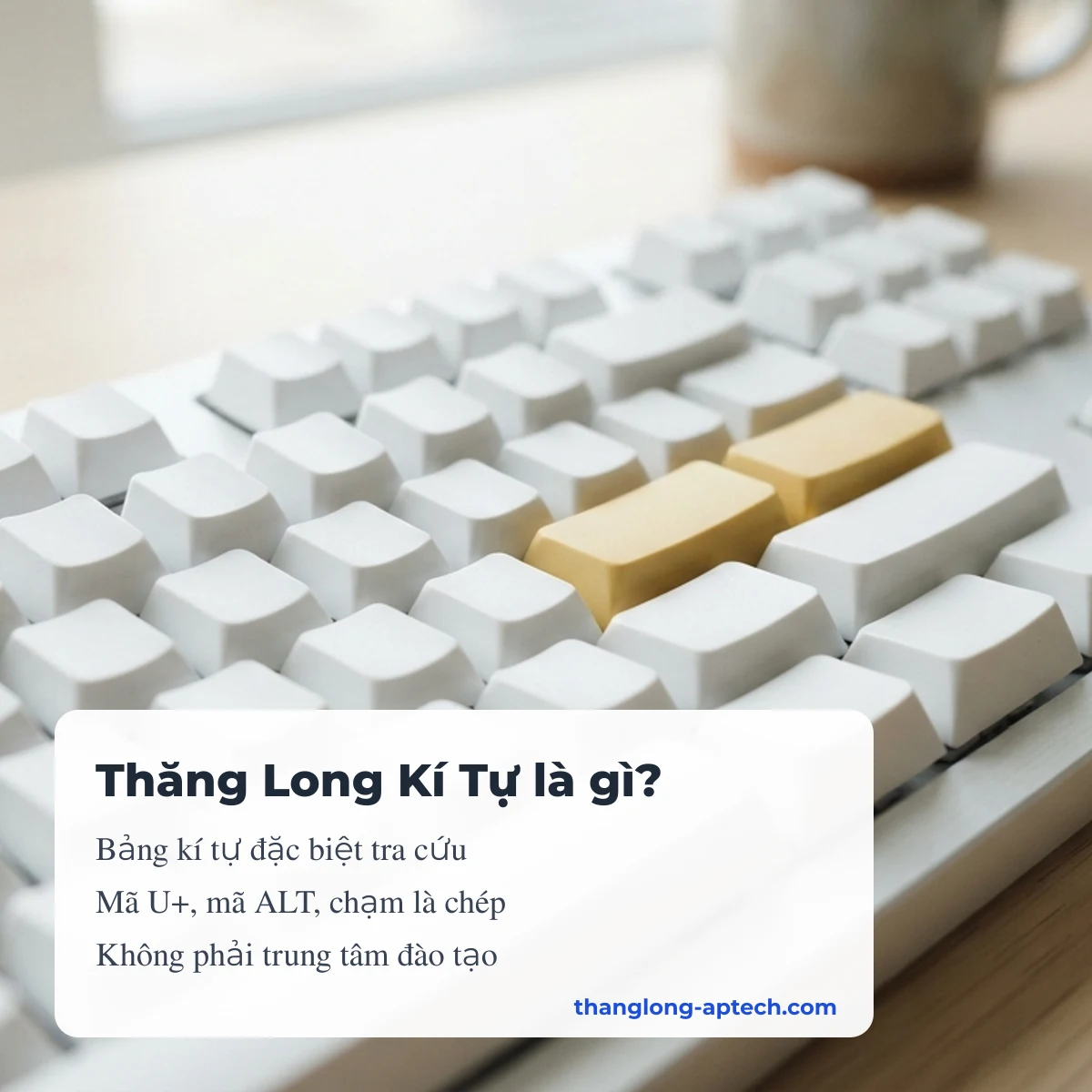 Thăng Long Kí Tự là bảng kí tự đặc biệt độc lập, không phải trung tâm đào tạo