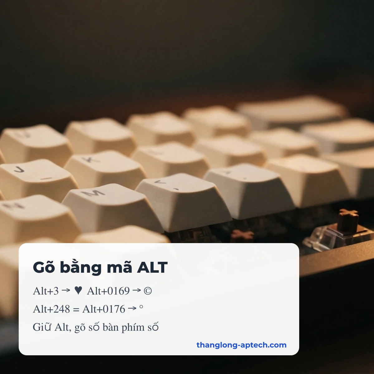 Gõ kí tự đặc biệt bằng mã ALT trên Windows: Alt+số theo CP437, Alt+0số theo Windows-1252